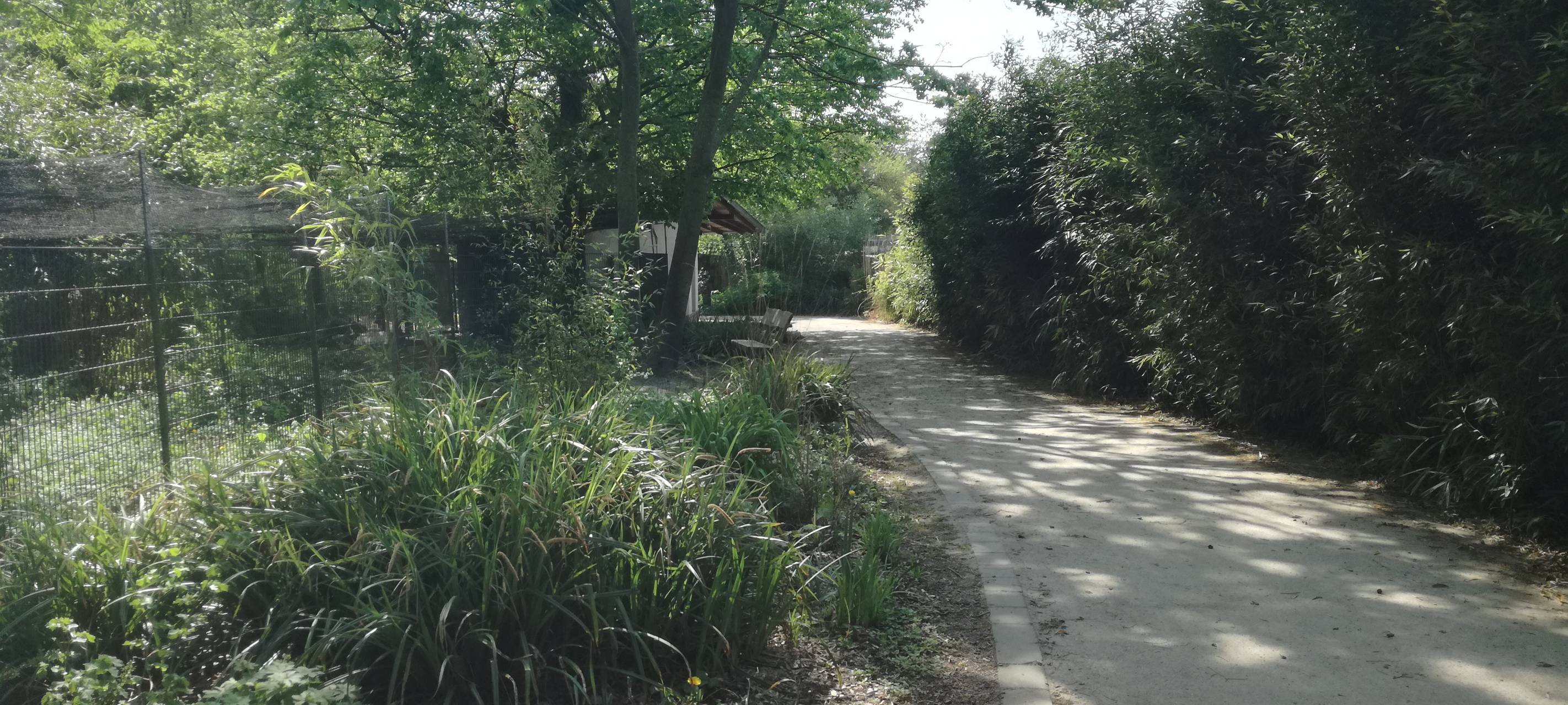 Ein Blick in den Hammer Tierpark