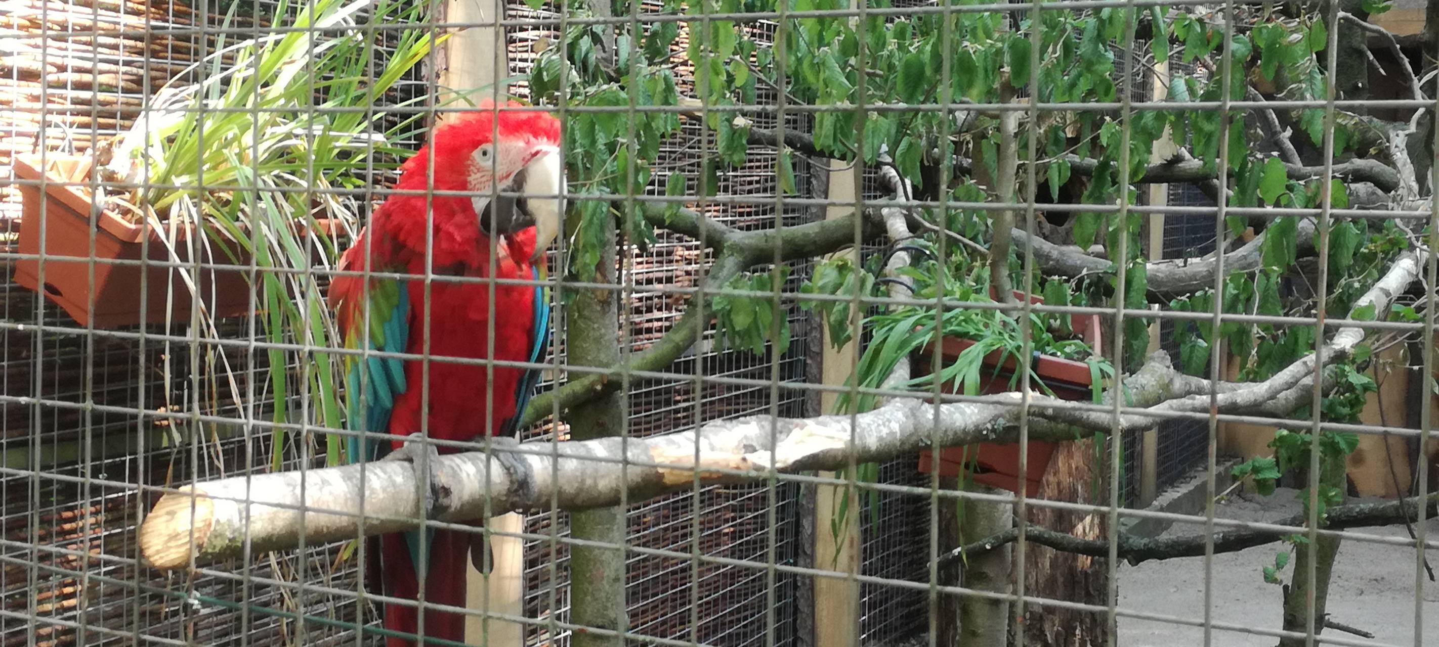 Ein Blick in den Hammer Tierpark