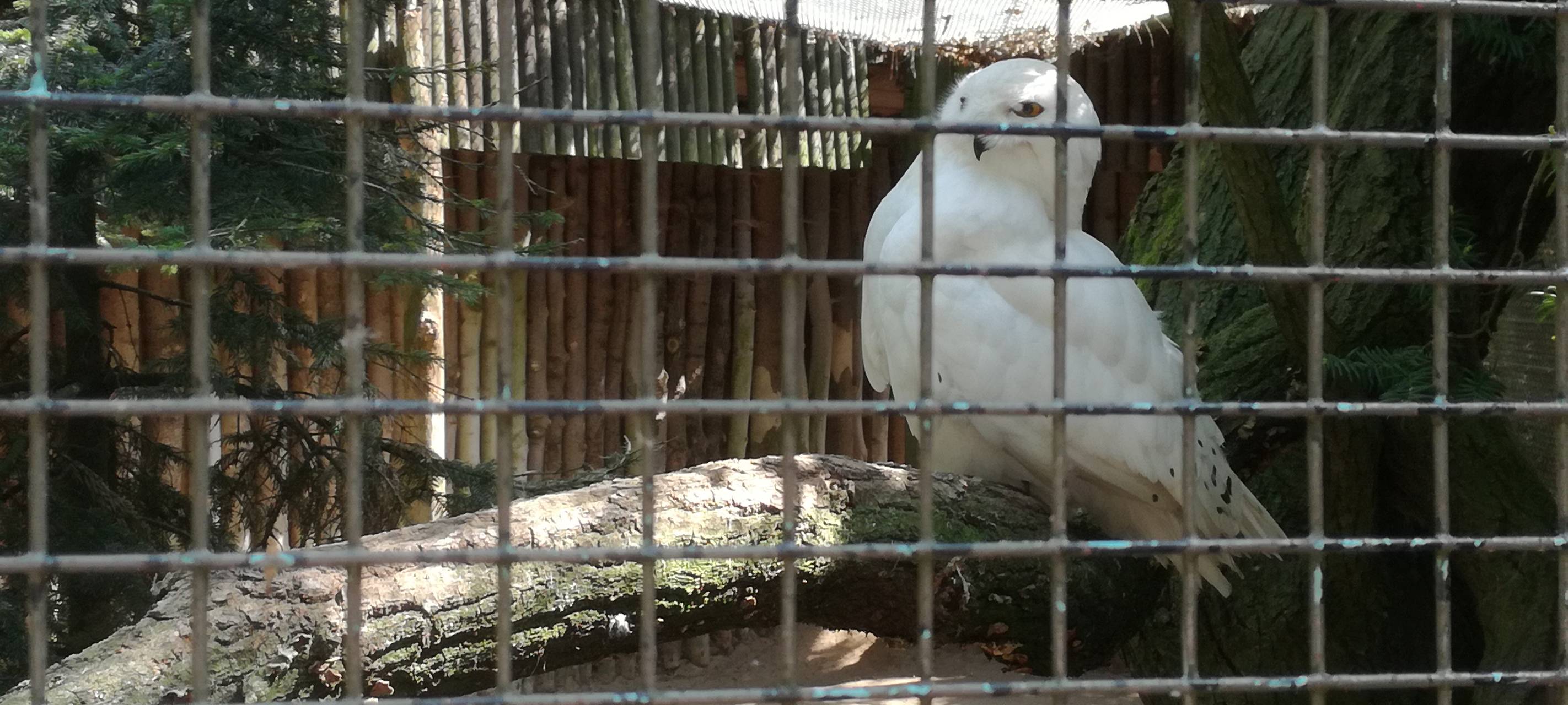 Ein Blick in den Hammer Tierpark