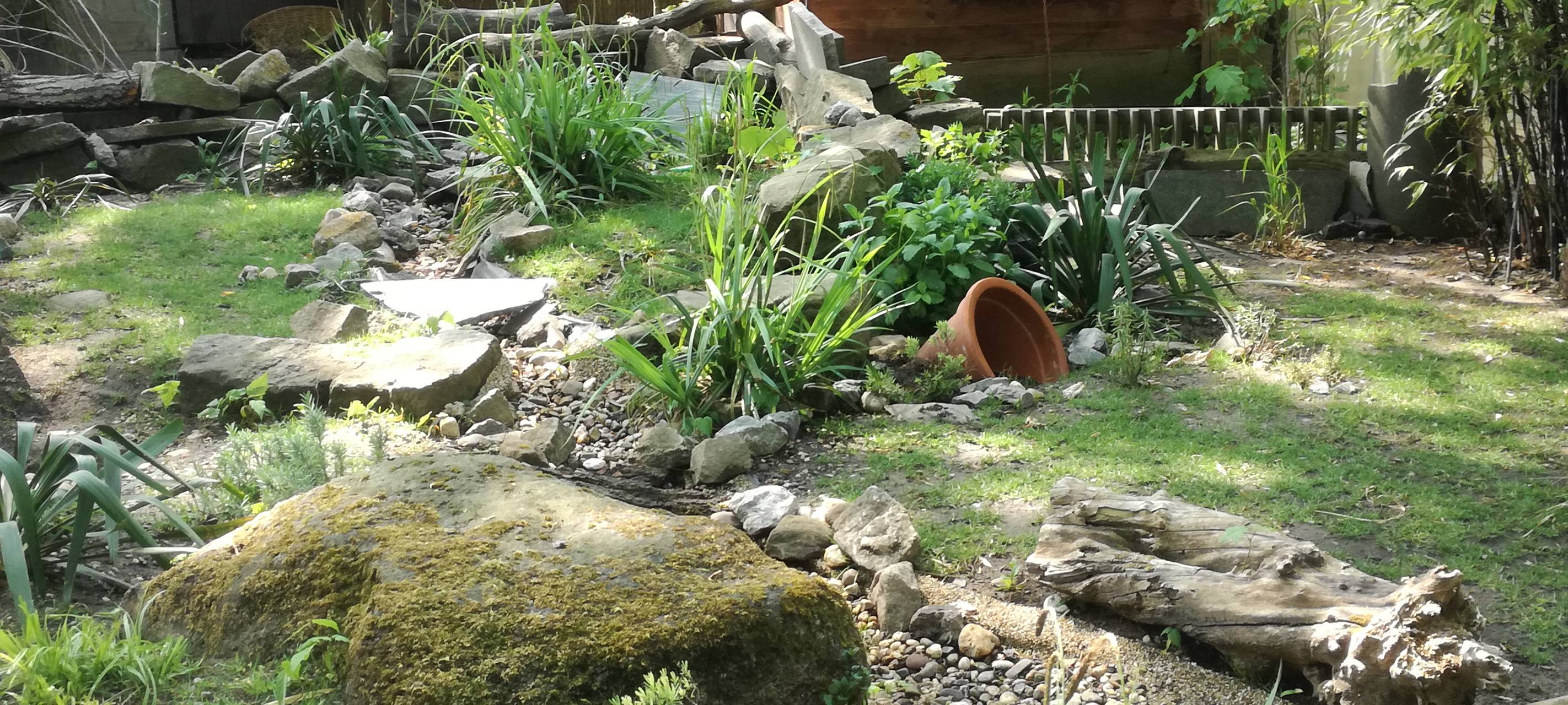 Ein Blick in den Hammer Tierpark