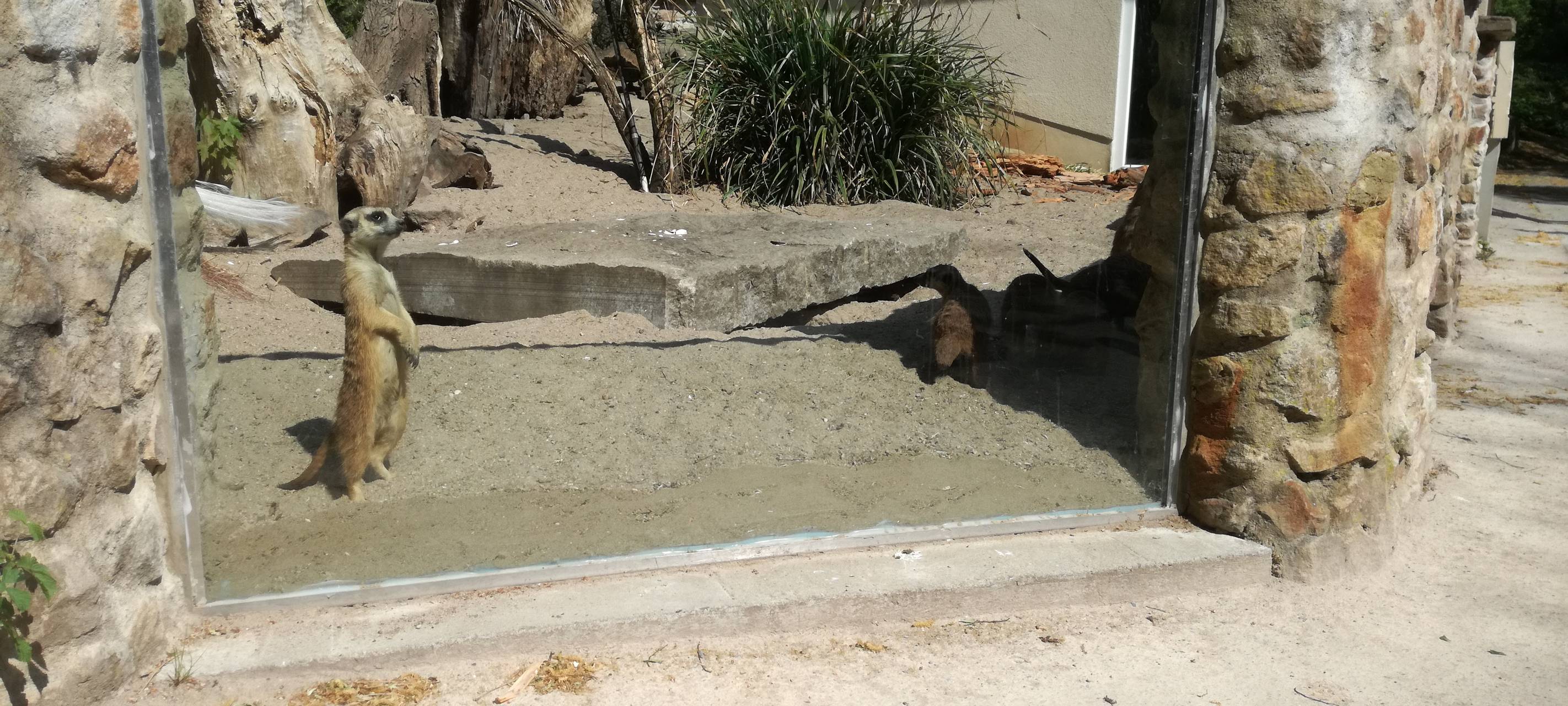 Ein Blick in den Hammer Tierpark