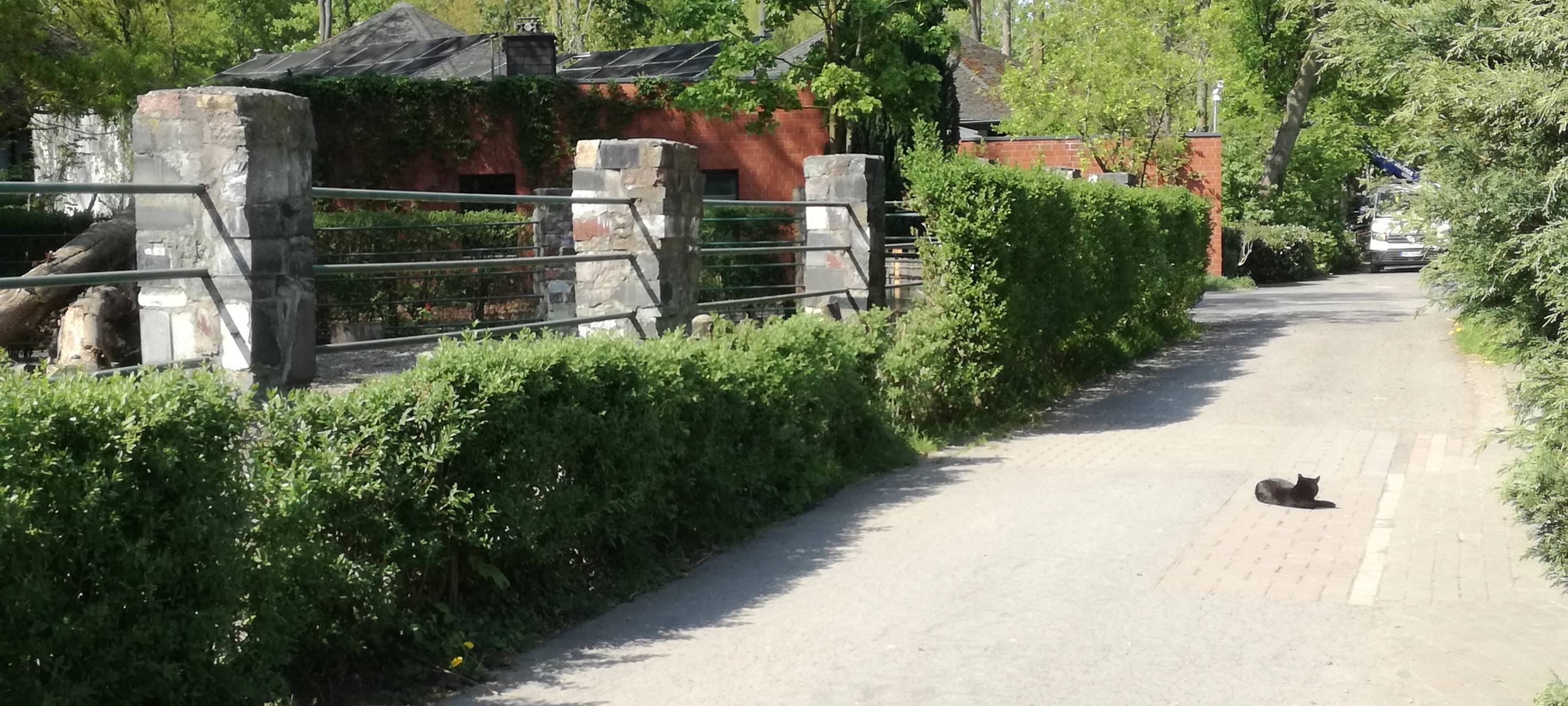Ein Blick in den Hammer Tierpark