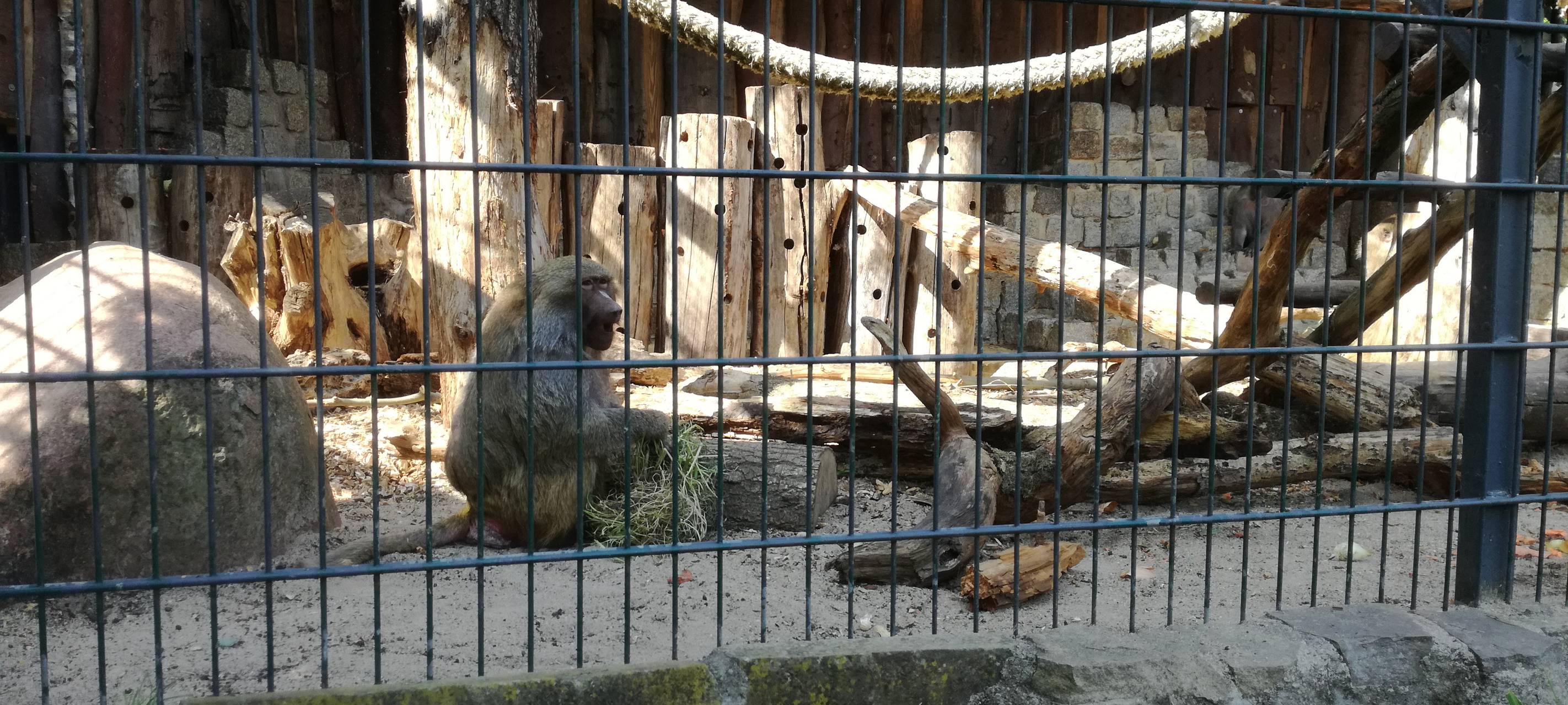 Ein Blick in den Hammer Tierpark