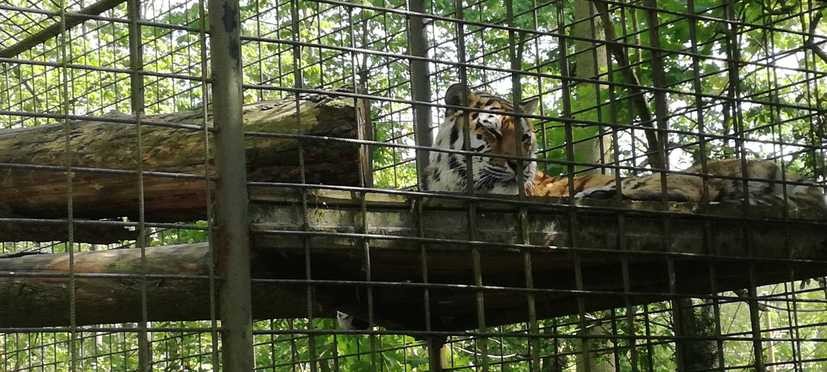 Ein Blick in den Hammer Tierpark