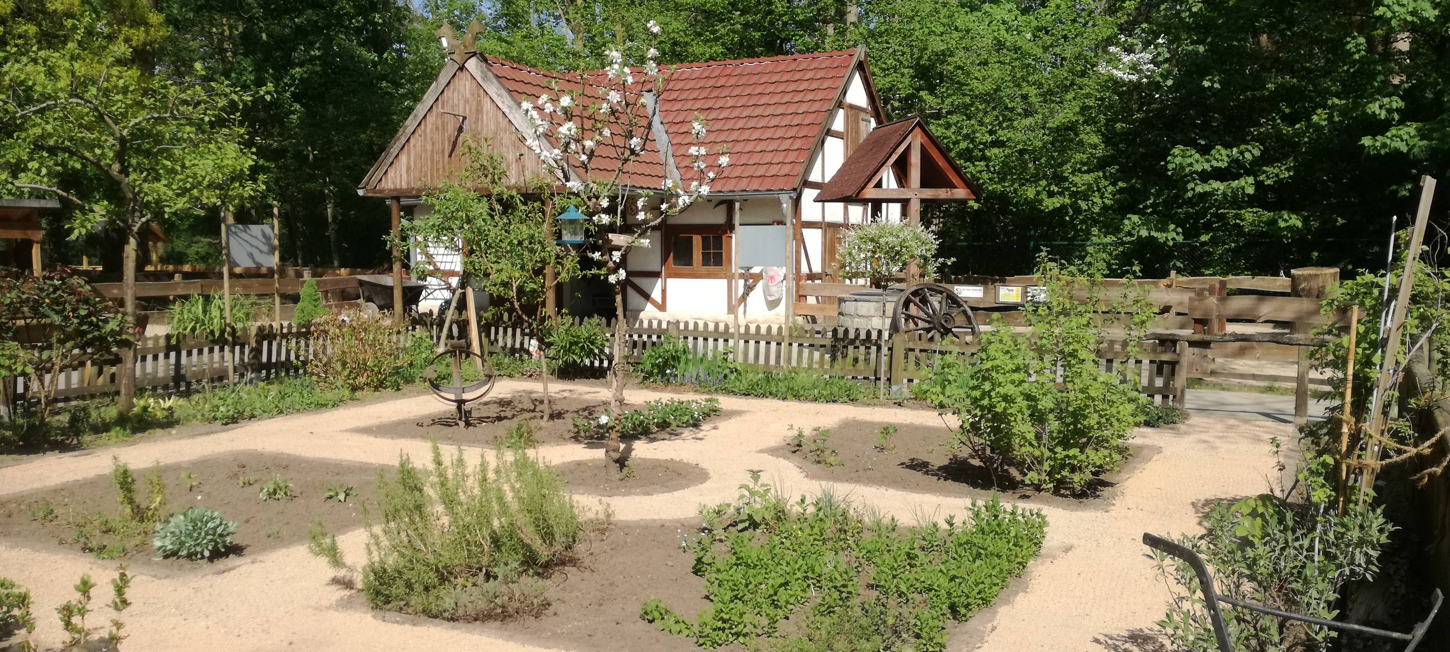 Ein Blick in den Hammer Tierpark