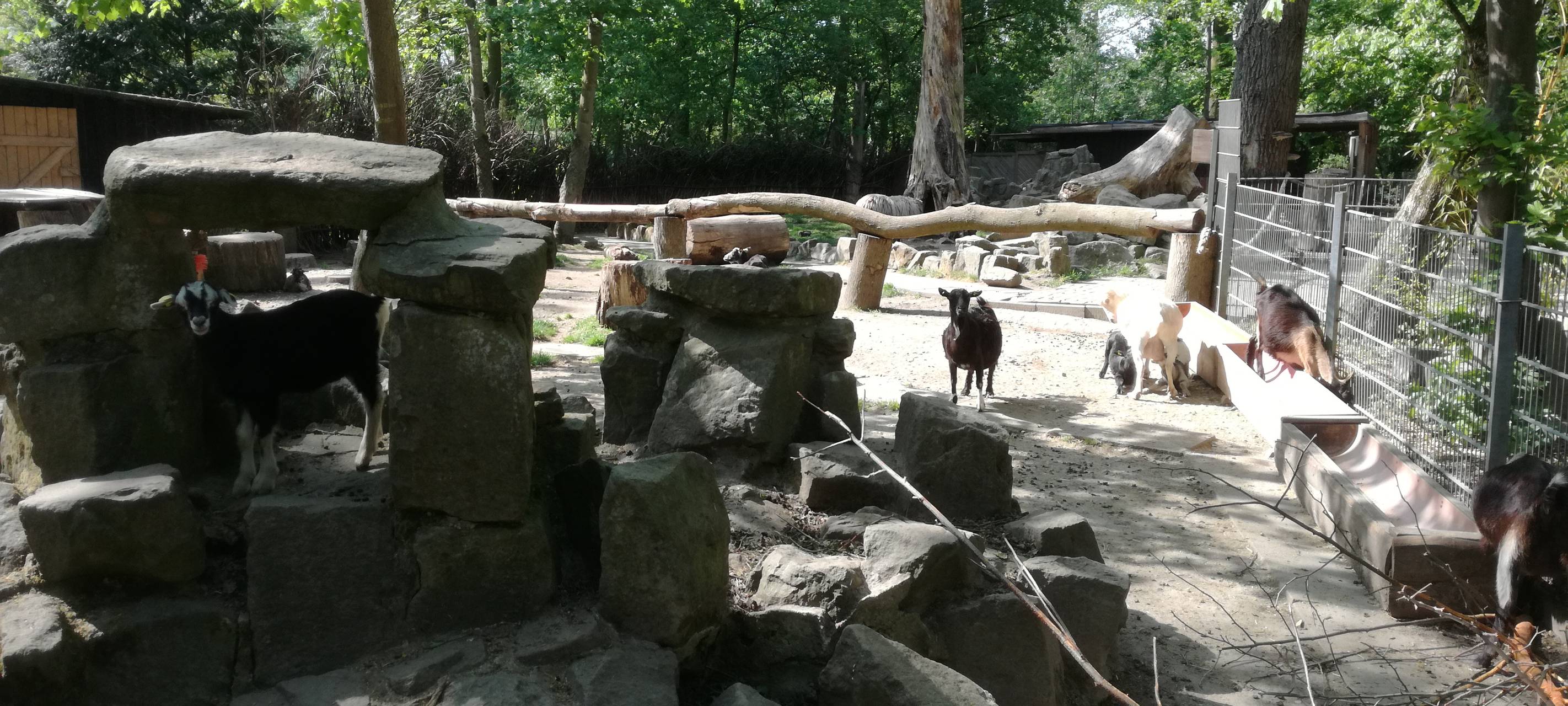 Ein Blick in den Hammer Tierpark