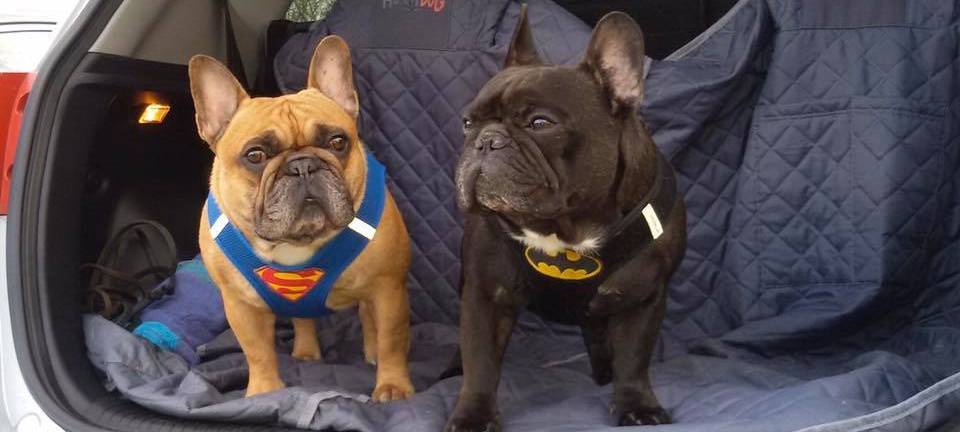 Familien-Challenge: Ihr seid die Superhelden dieser Zeit!