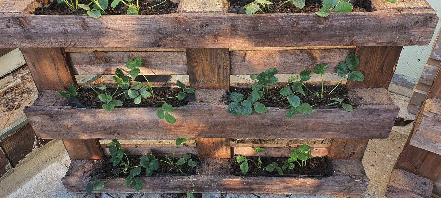 Familien-Challenge: Do-It-Yourself in Hammer Wohnungen