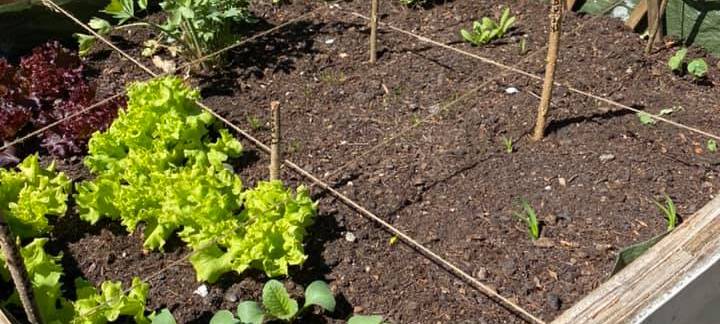 Familien-Challenge: Do-It-Yourself in Hammer Wohnungen