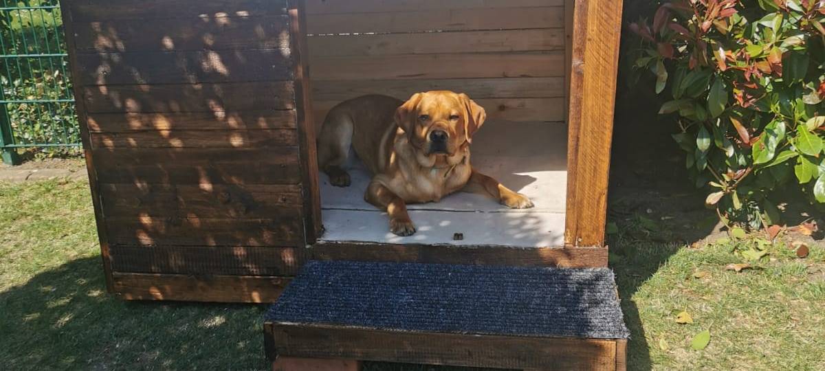 Familien-Challenge: Do-It-Yourself in Hammer Wohnungen