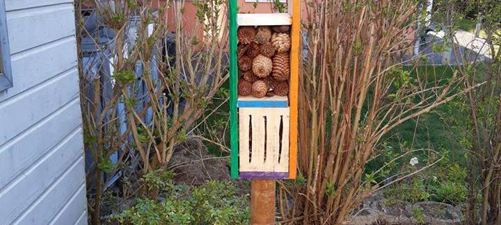 Familien-Challenge: Do-It-Yourself in Hammer Wohnungen