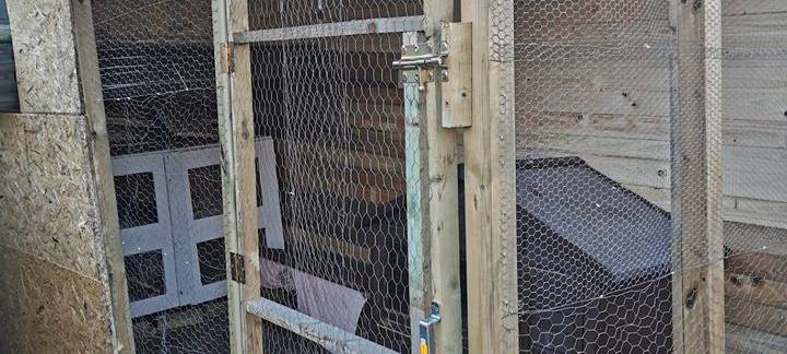 Familien-Challenge: Do-It-Yourself in Hammer Wohnungen