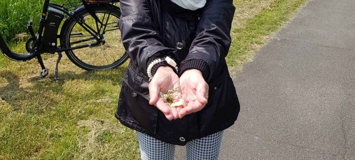 Der Konfettilauf 2020