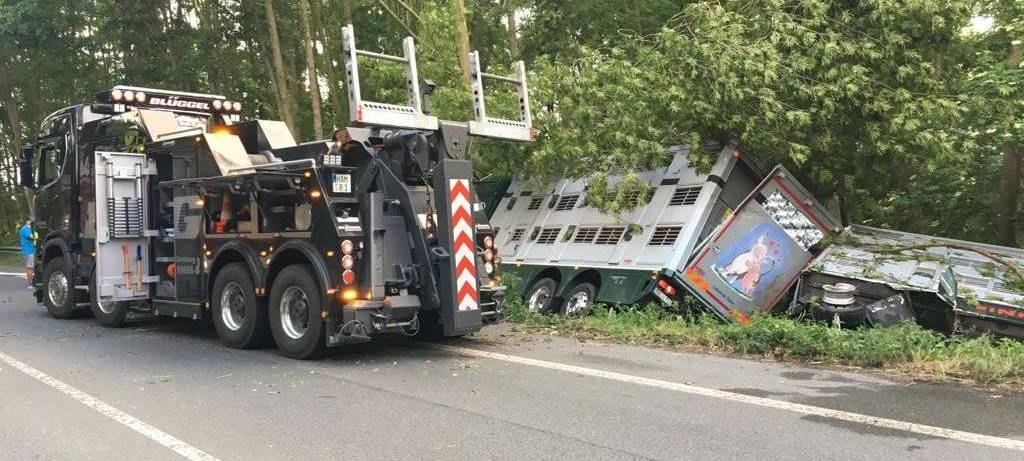 Werler Straße nach Unfall mit Tiertransporter wieder frei