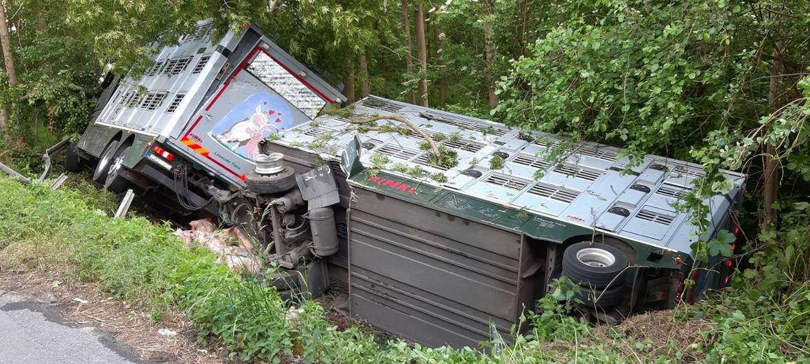 Werler Straße nach Unfall mit Tiertransporter wieder frei