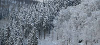 Auch Hammer im Winterwonderland