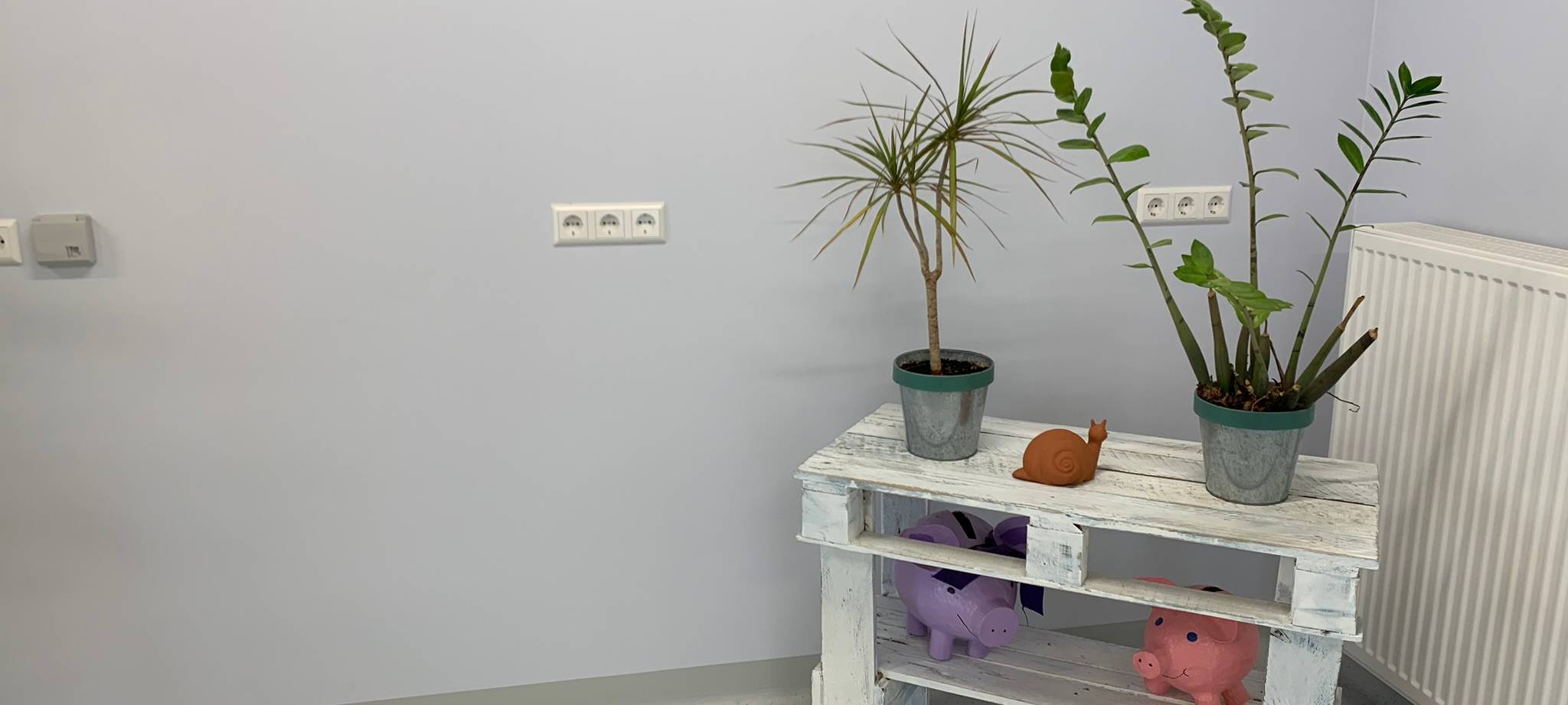 Spendenübergabe für tiergestützte Therapie