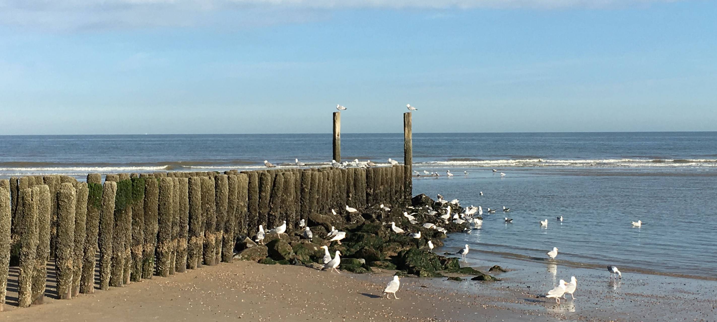 Hammer in Urlaubsregionen unerwünscht