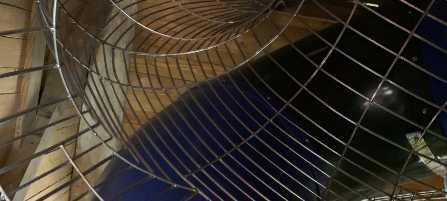 Neuer Kletterturm im Tierpark