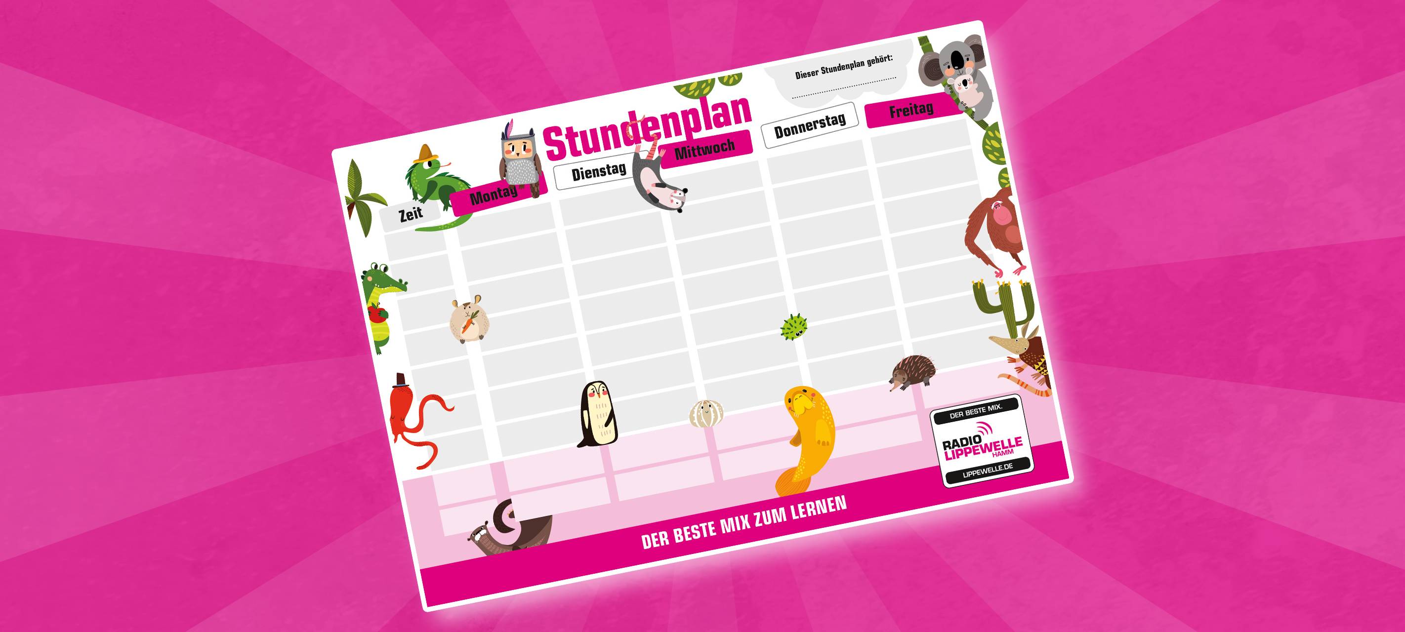 Service: Stundenplan zum Ausdrucken