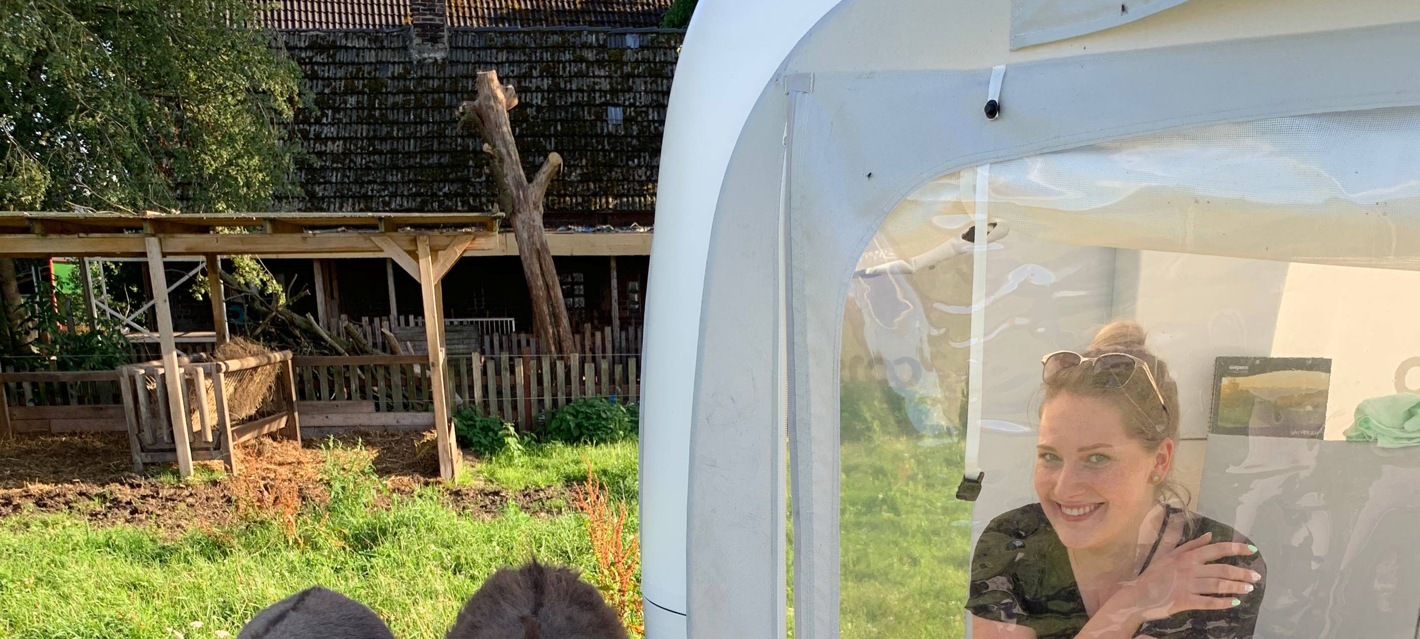 Übernachtung mit Eseln: Sleeperoo im Test