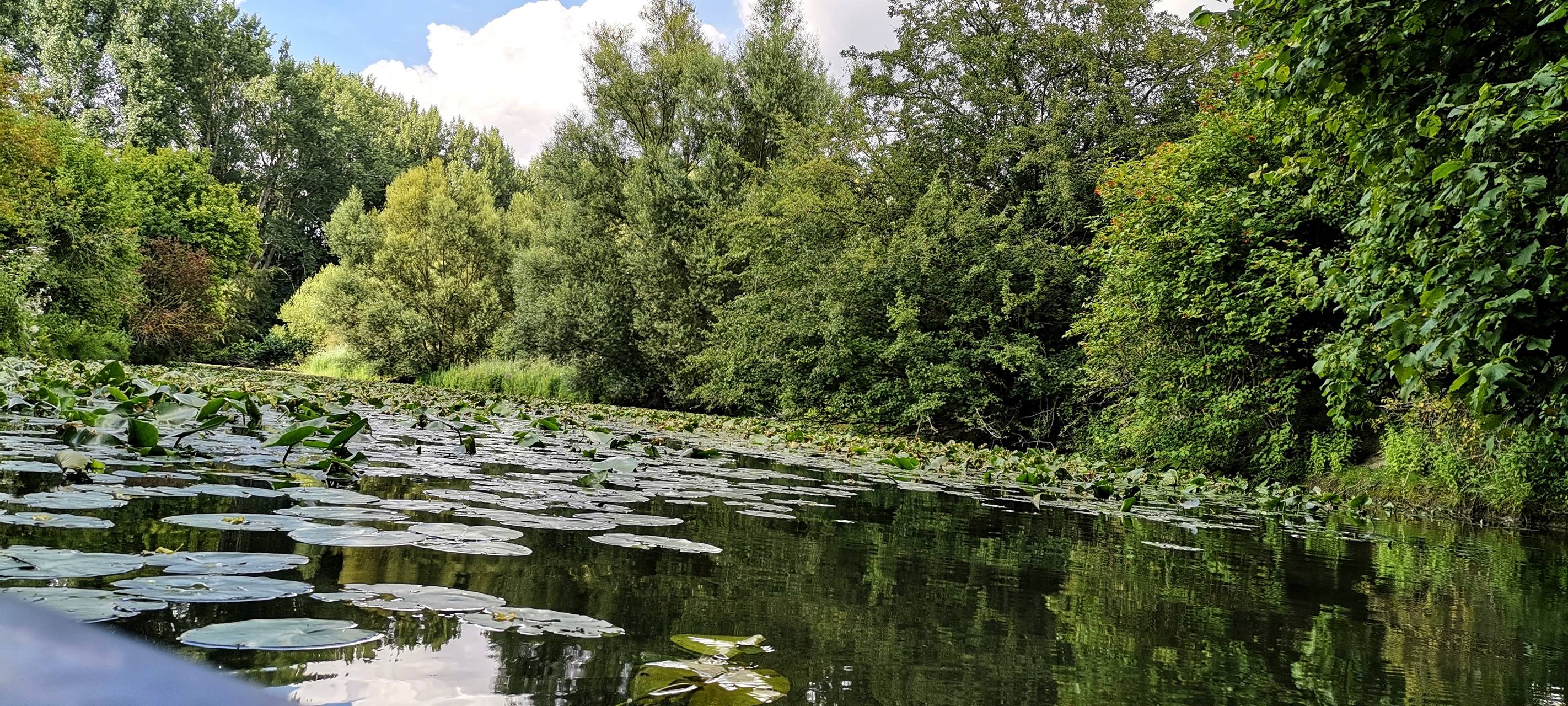 "Paddeln, Poofen, Picken" am Schloss Oberwerries