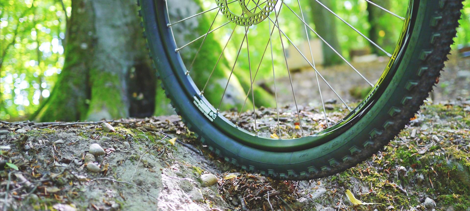 Sanierung des Mountainbike-Trail in Heessen