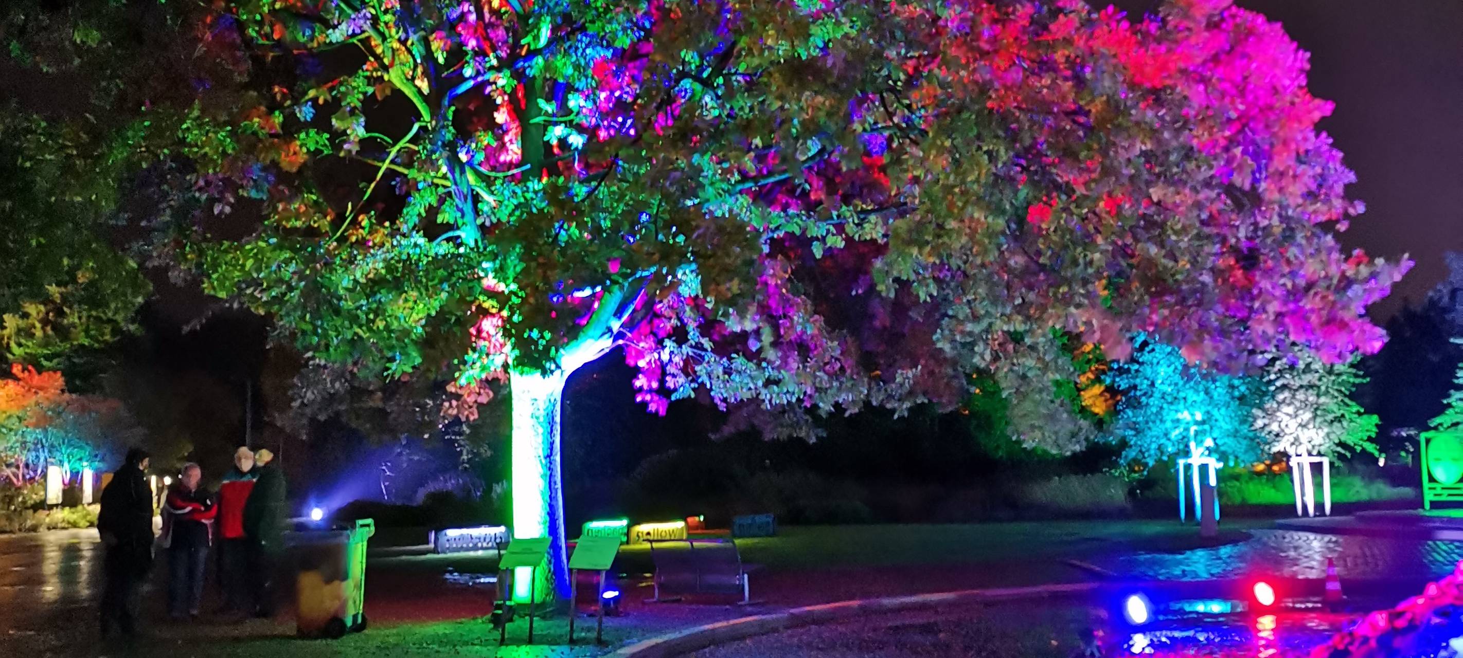 Herbstleuchten besonders beliebt