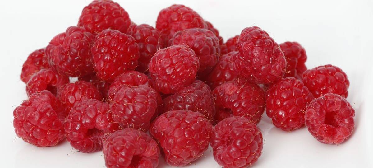 Ehrmann ruft Himbeer-Joghurt zurück