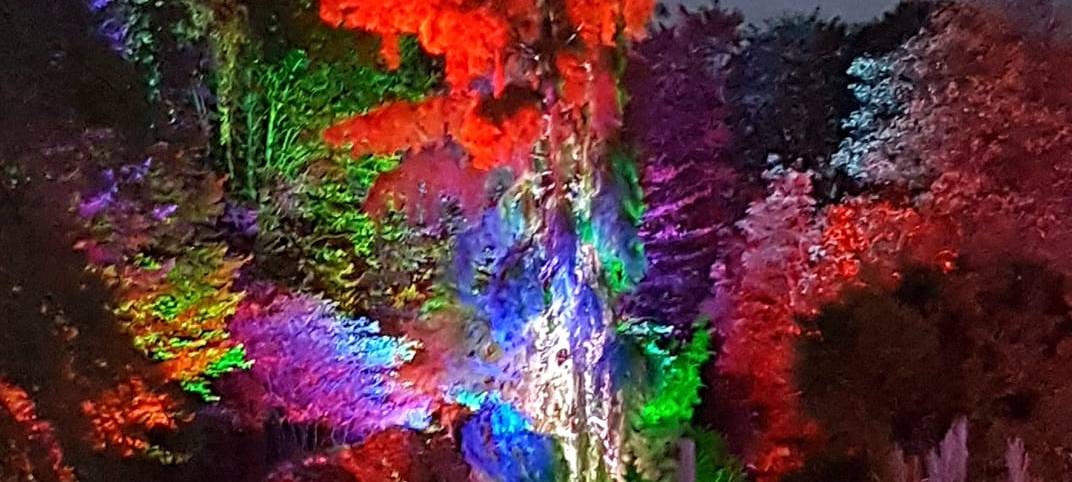 Letzter Tag für das Herbstleuchten