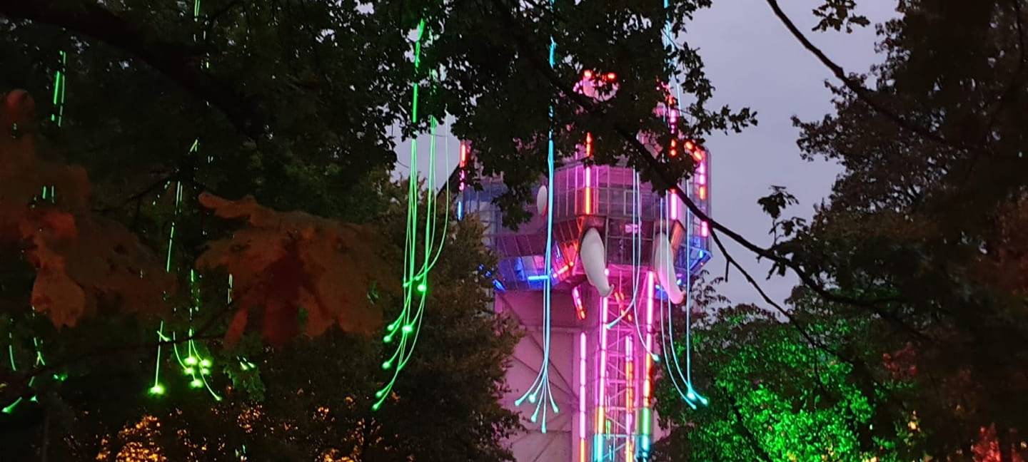 Letzter Tag für das Herbstleuchten