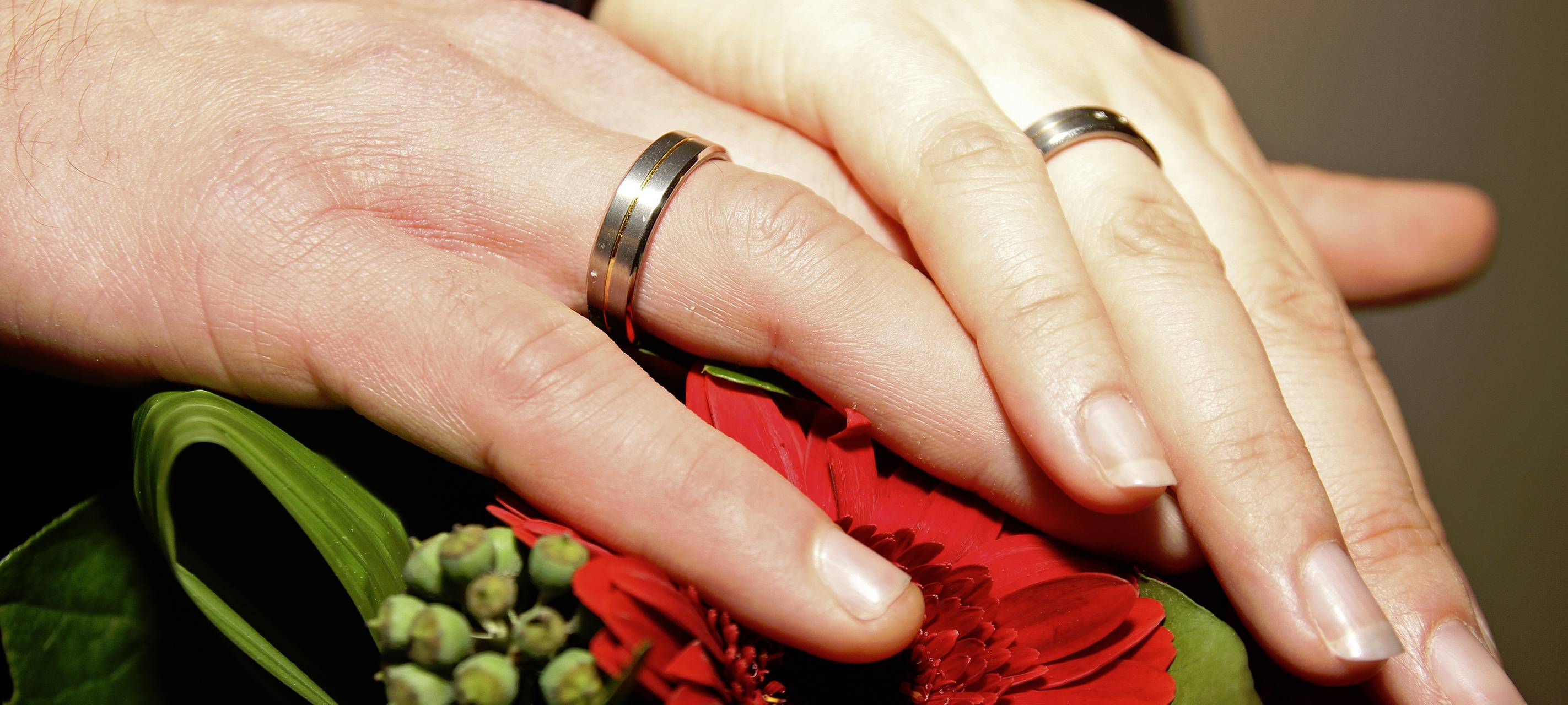 Die Liebe lässt Bäume wachsen