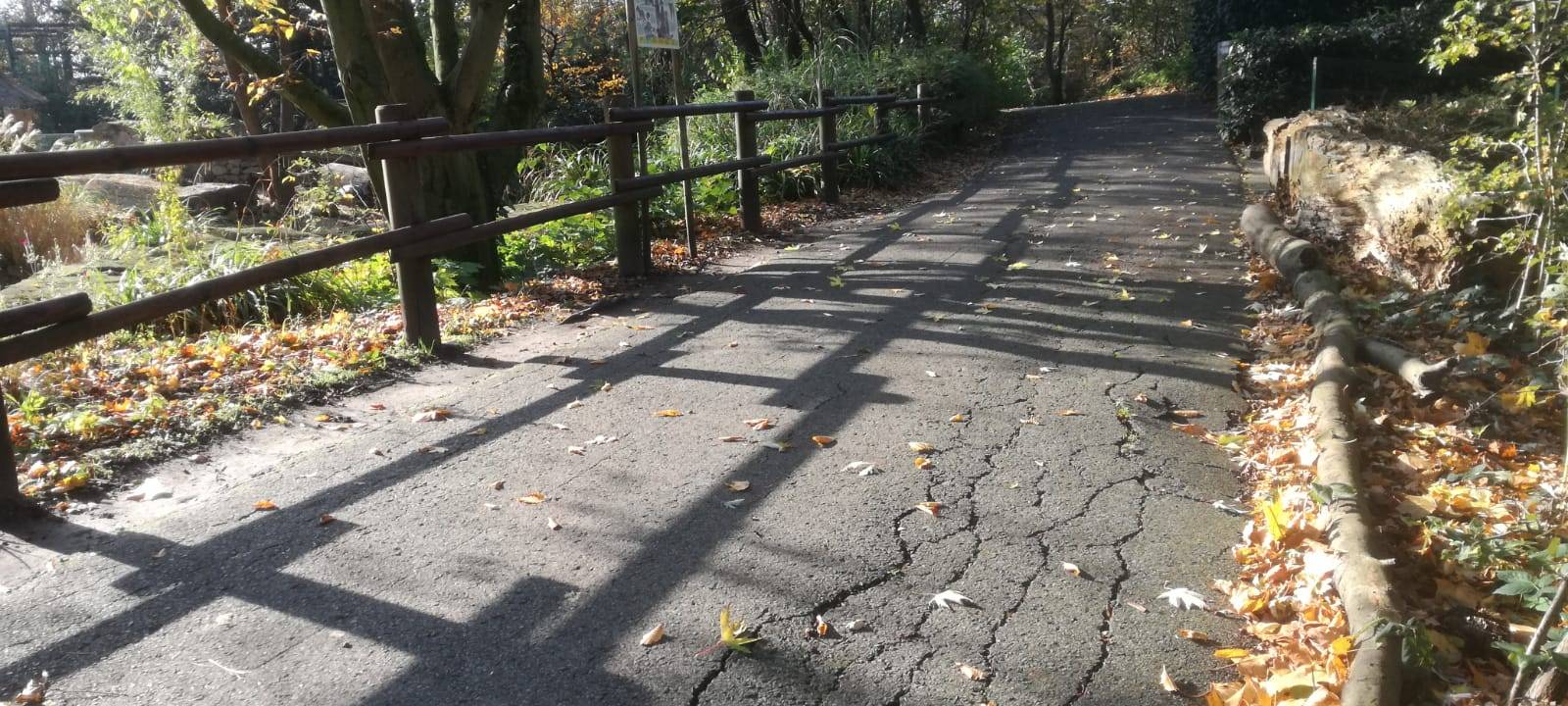 Besuch im Tierpark: Alpakas & Team freuen sich auf euch!