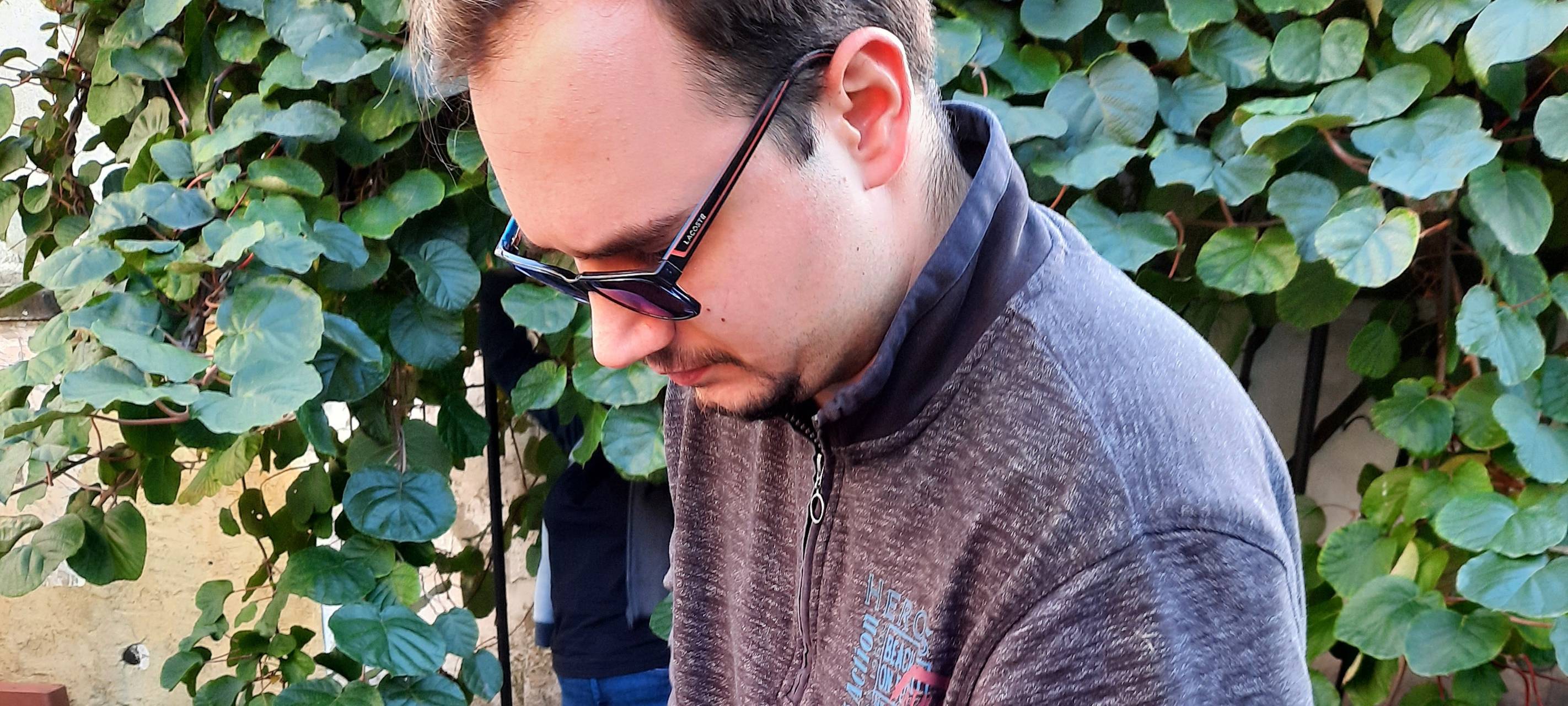 Kiwis in der Hammer Innenstadt geerntet