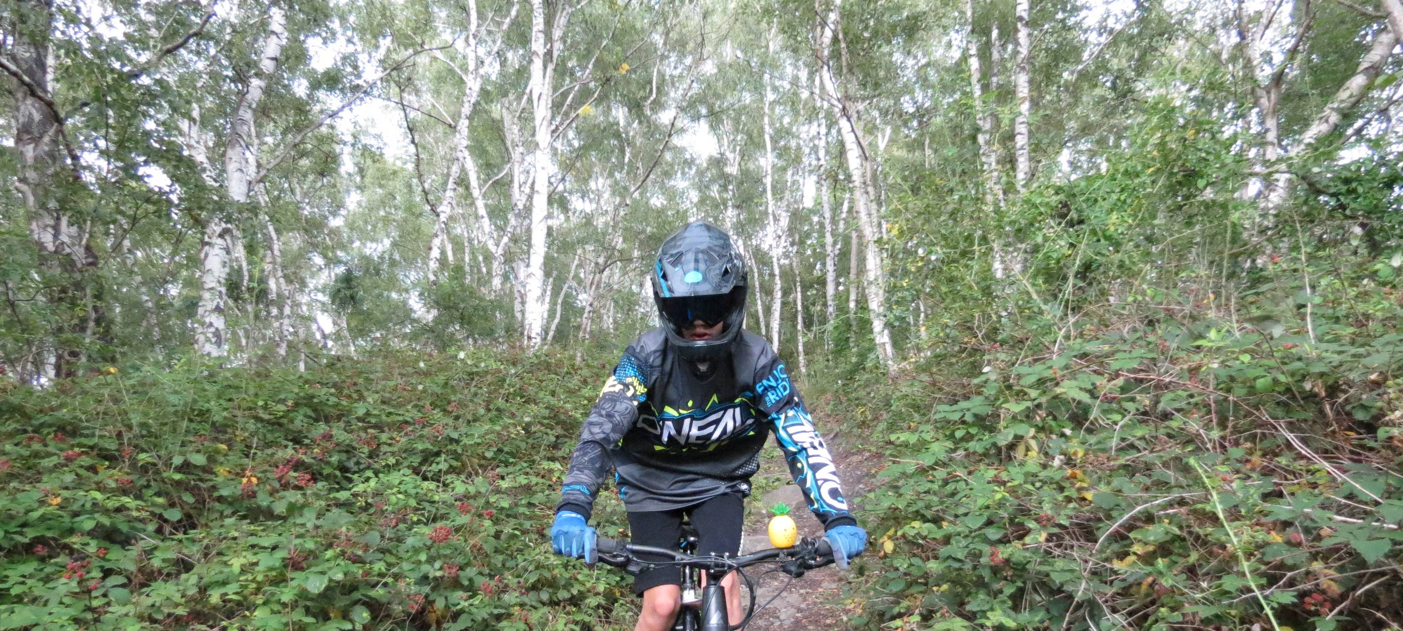 Mountainbiken in den Heessener Bergen