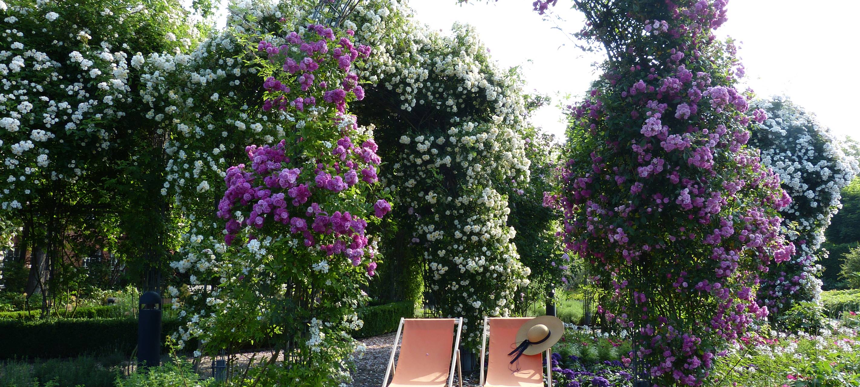 Öffnet eure Gärten 2021!