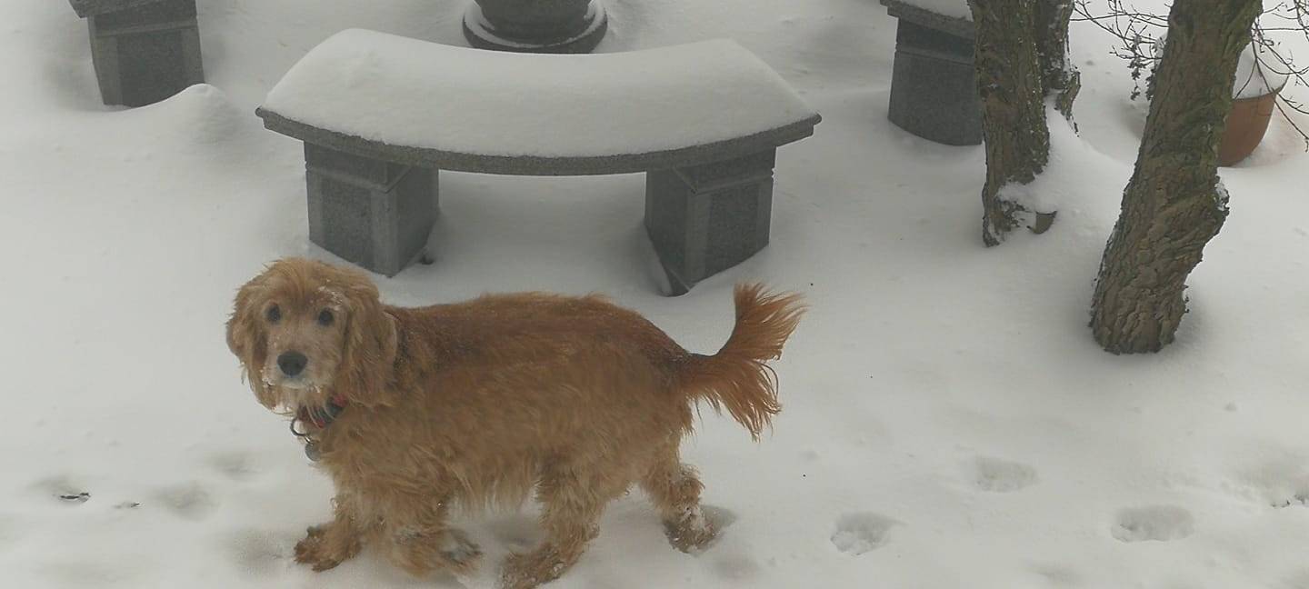 CDU fordert Winterdienstkonzept für Hamm