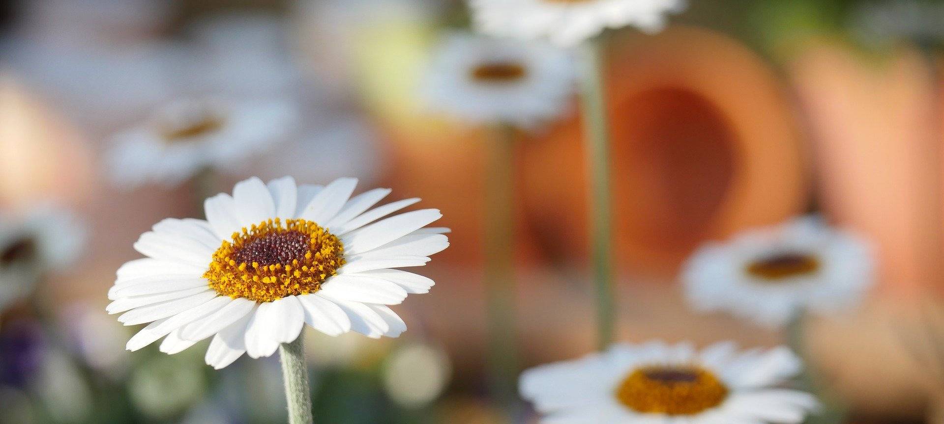 Umweltamt in Hamm sucht Bufdis