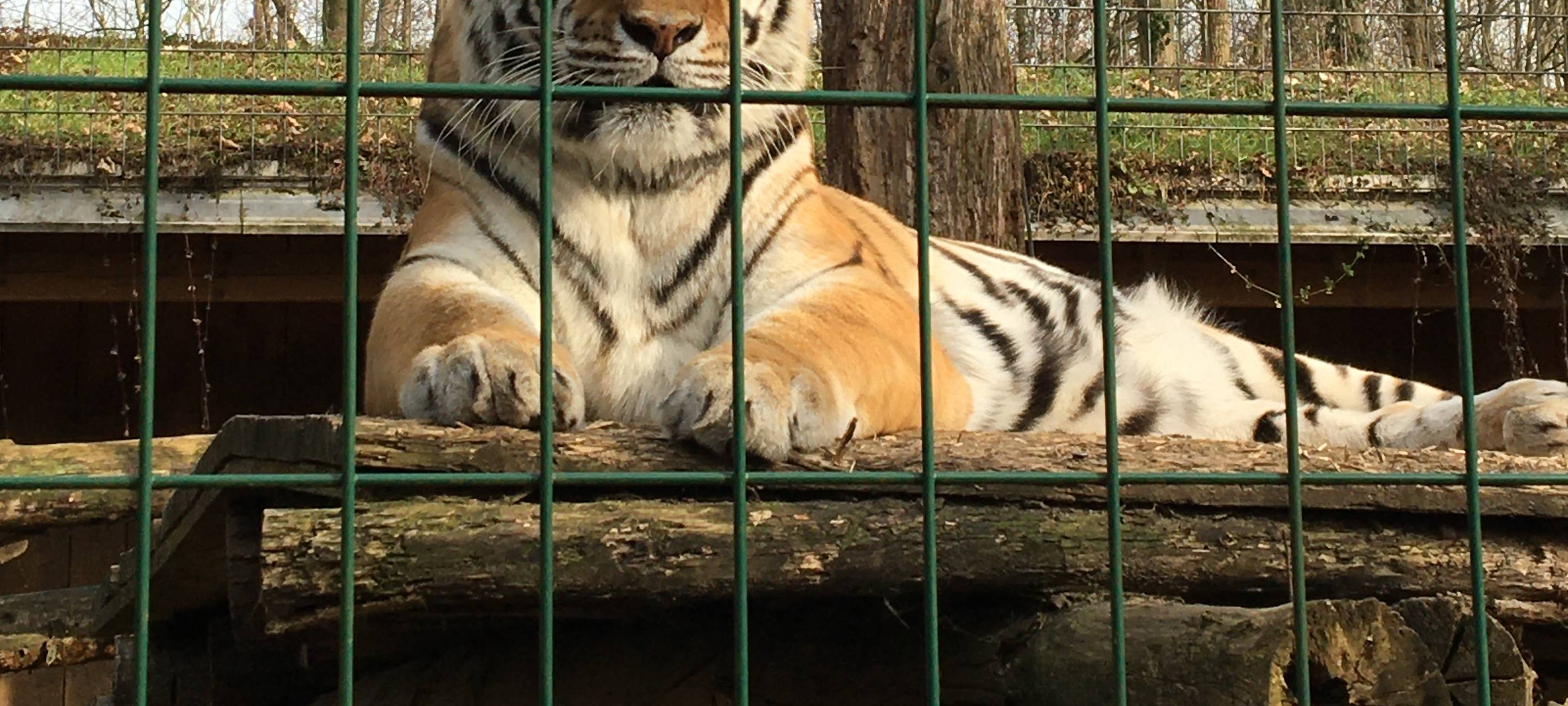 Tierpark-Tickets ab sofort online buchbar