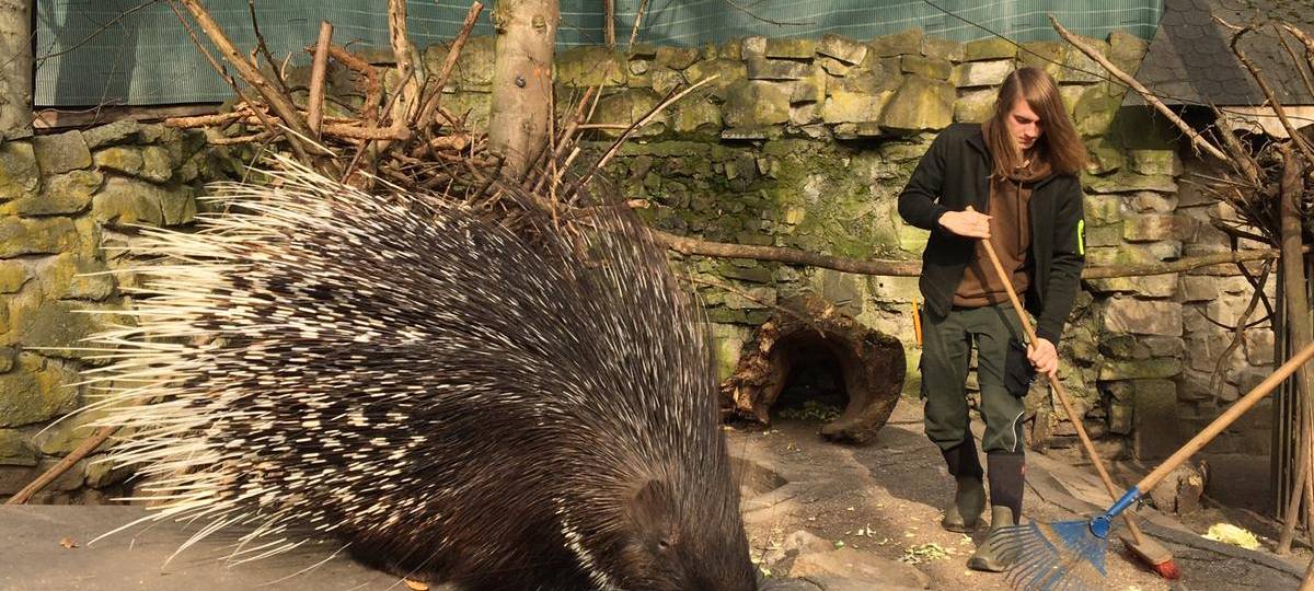 Tierpark-Tickets ab sofort online buchbar