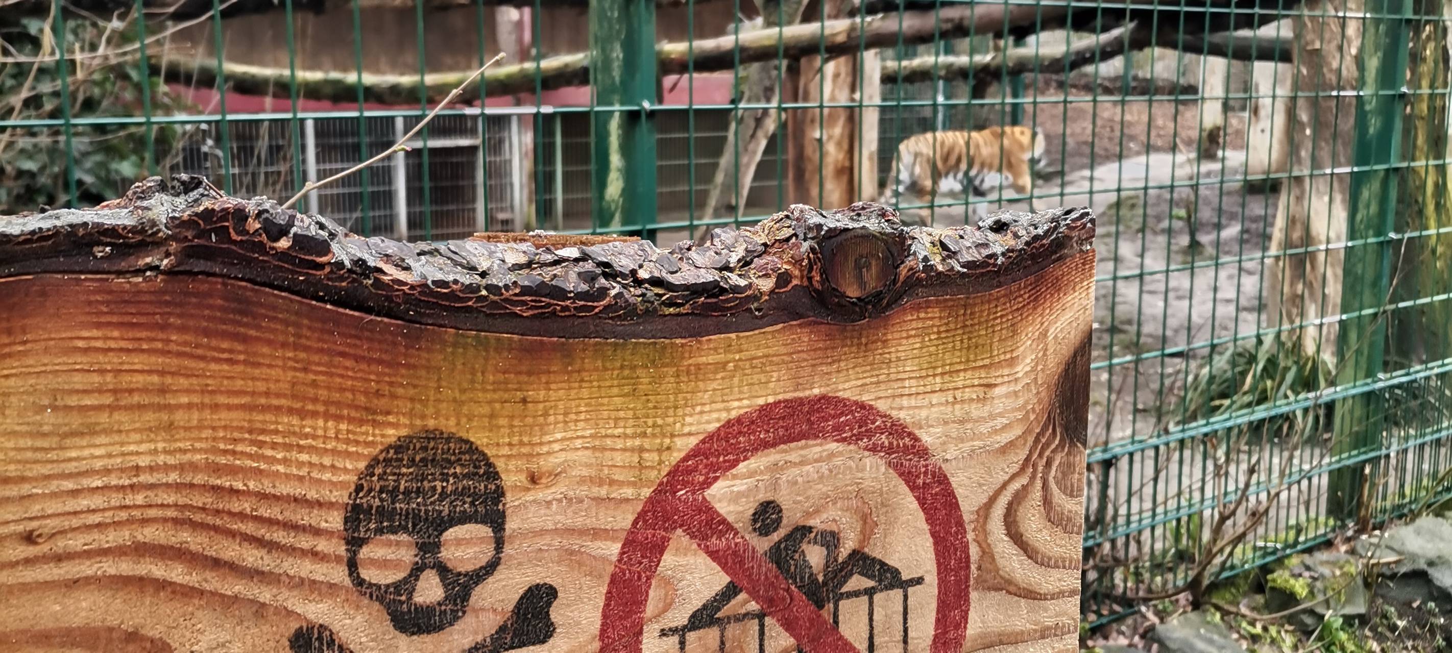 Tierpark-Tickets ab sofort online buchbar