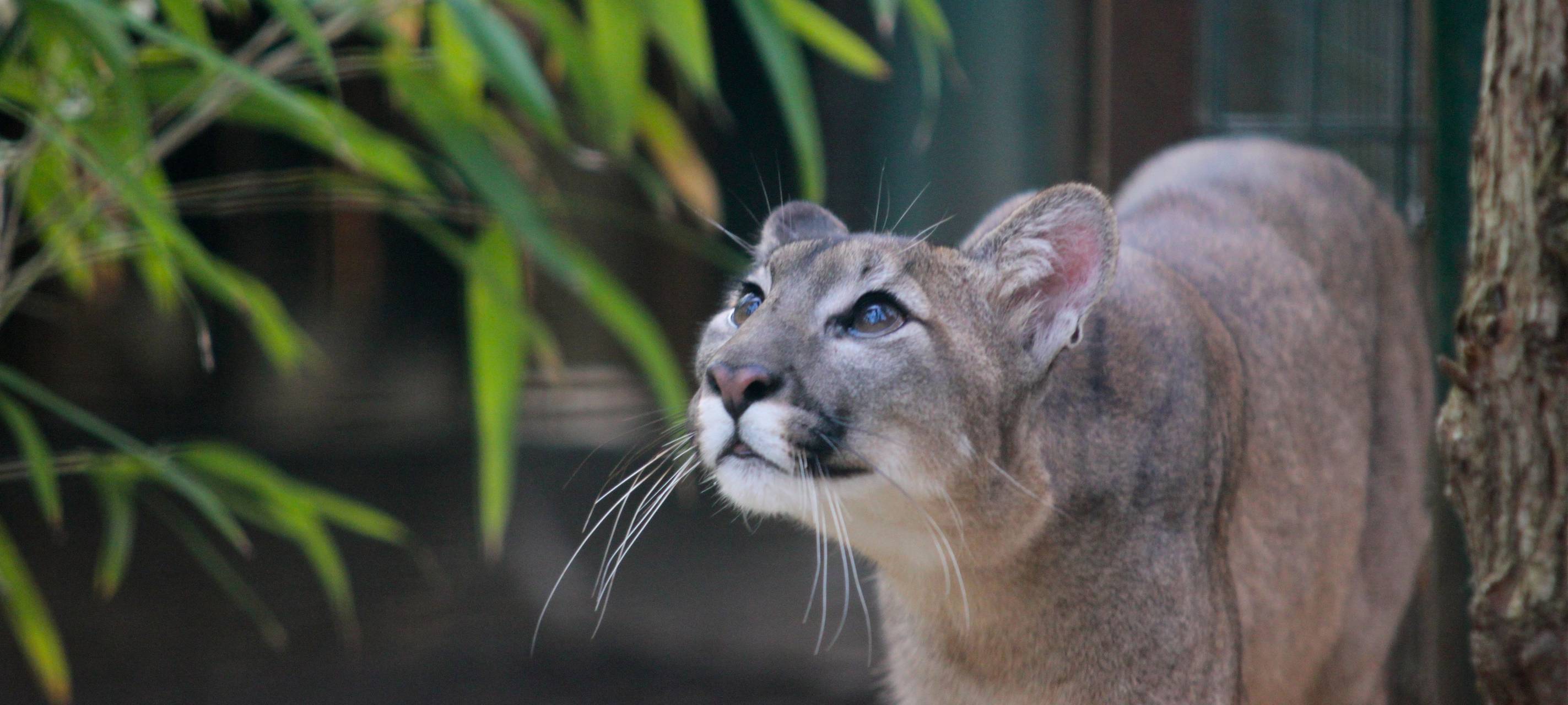 Maxipark und Tierpark in Hamm öffnen wieder