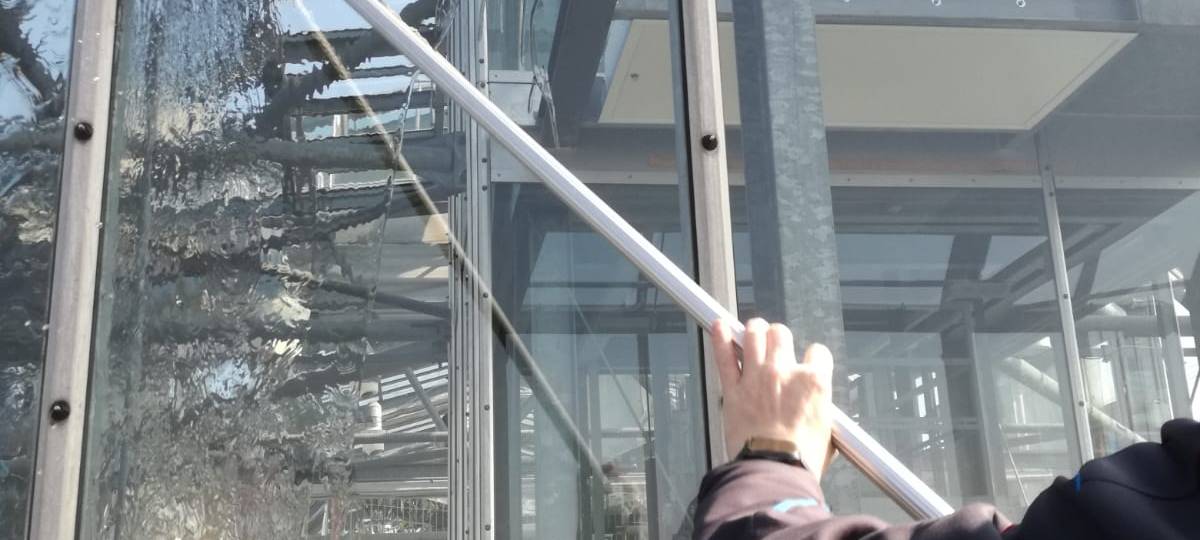 Elefantenwäsche im Maxipark