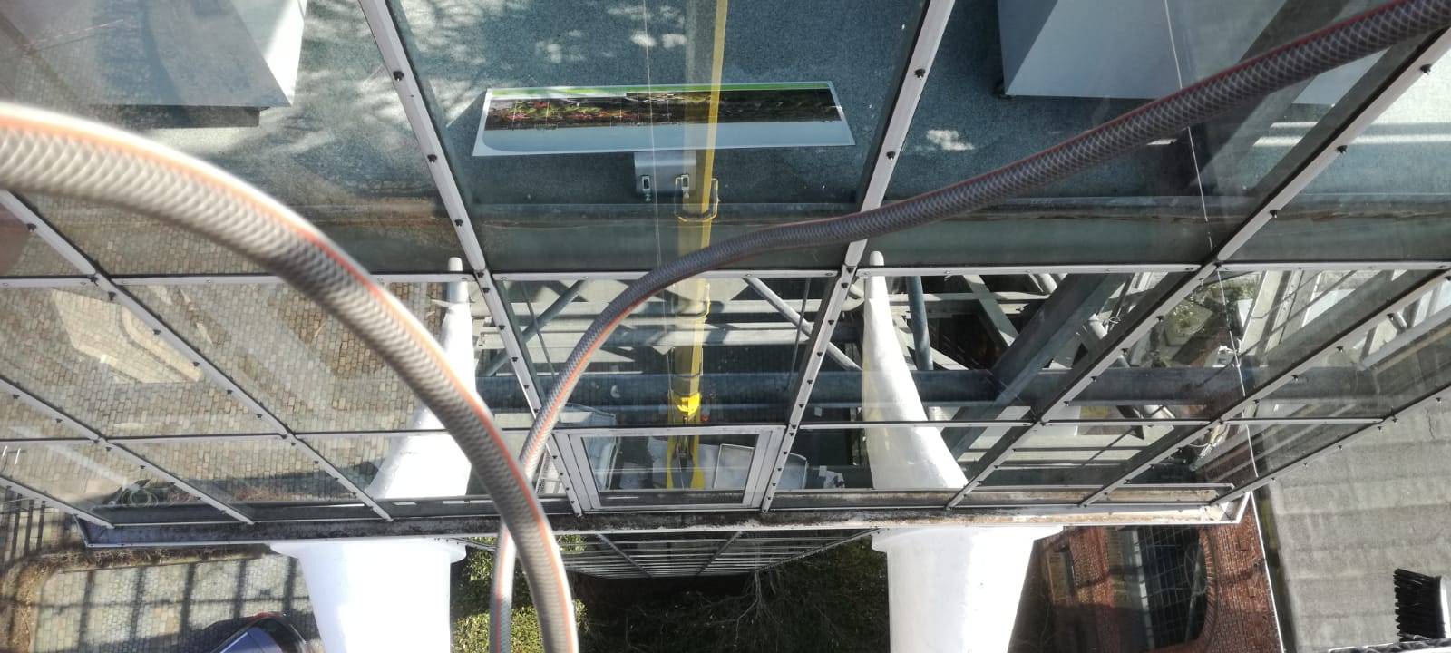 Elefantenwäsche im Maxipark