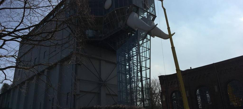 Elefantenwäsche im Maxipark