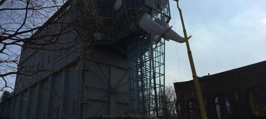 Elefantenwäsche im Maxipark