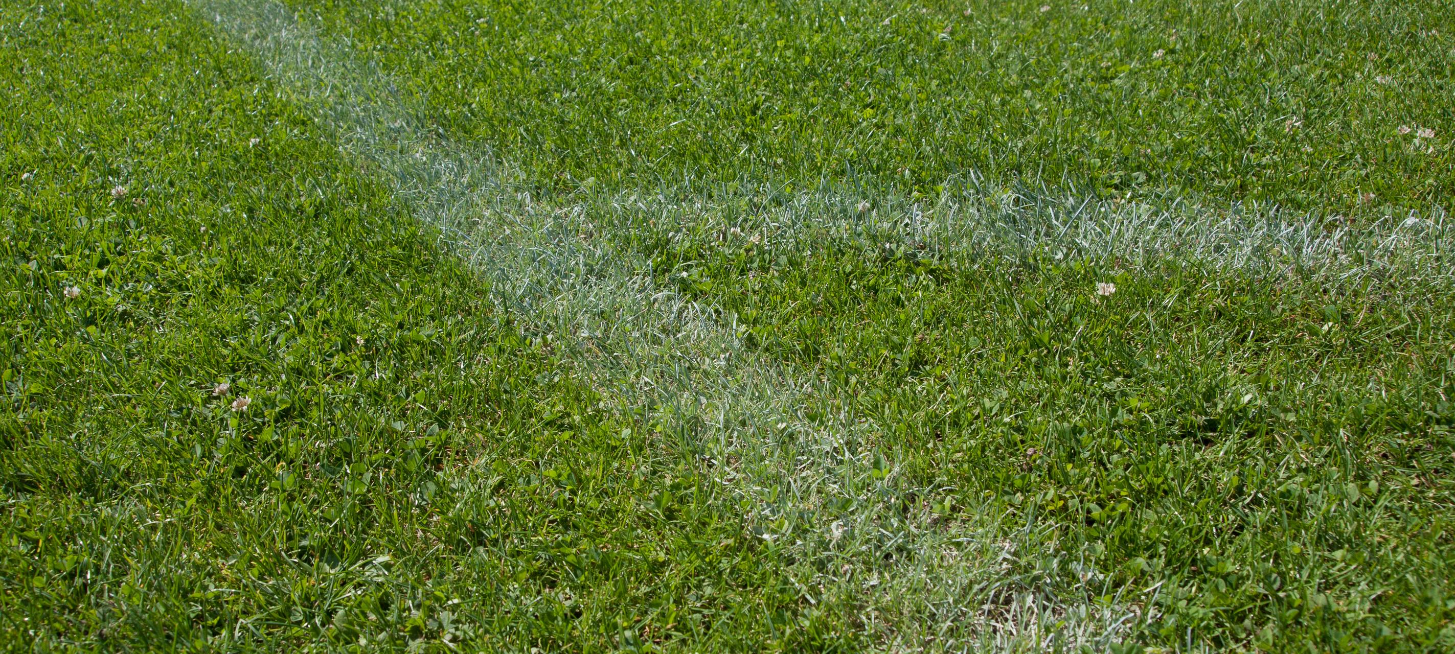 Neuer Sportplatz für Yunus Emre HSV