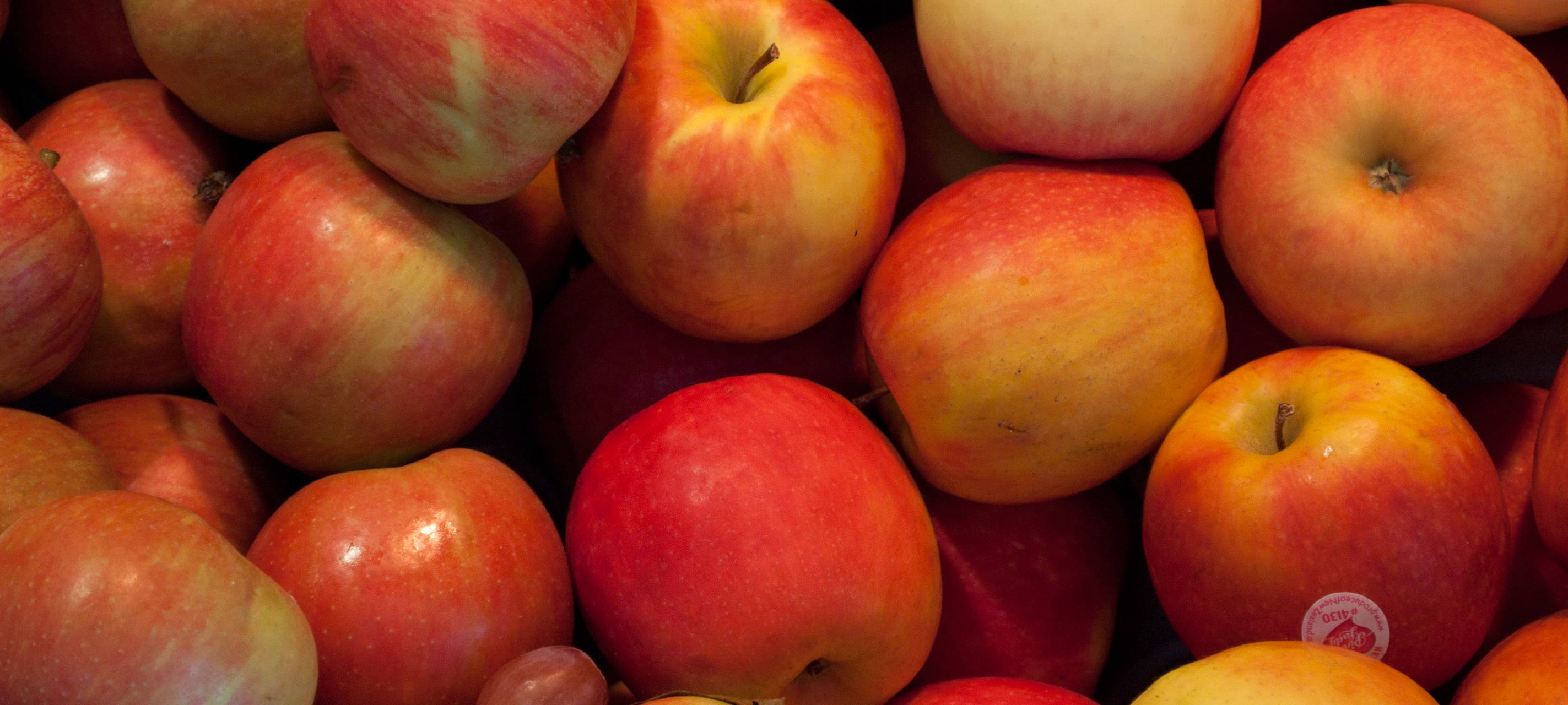 Hamm sammelt Äpfel für eigenen Apfelsaft