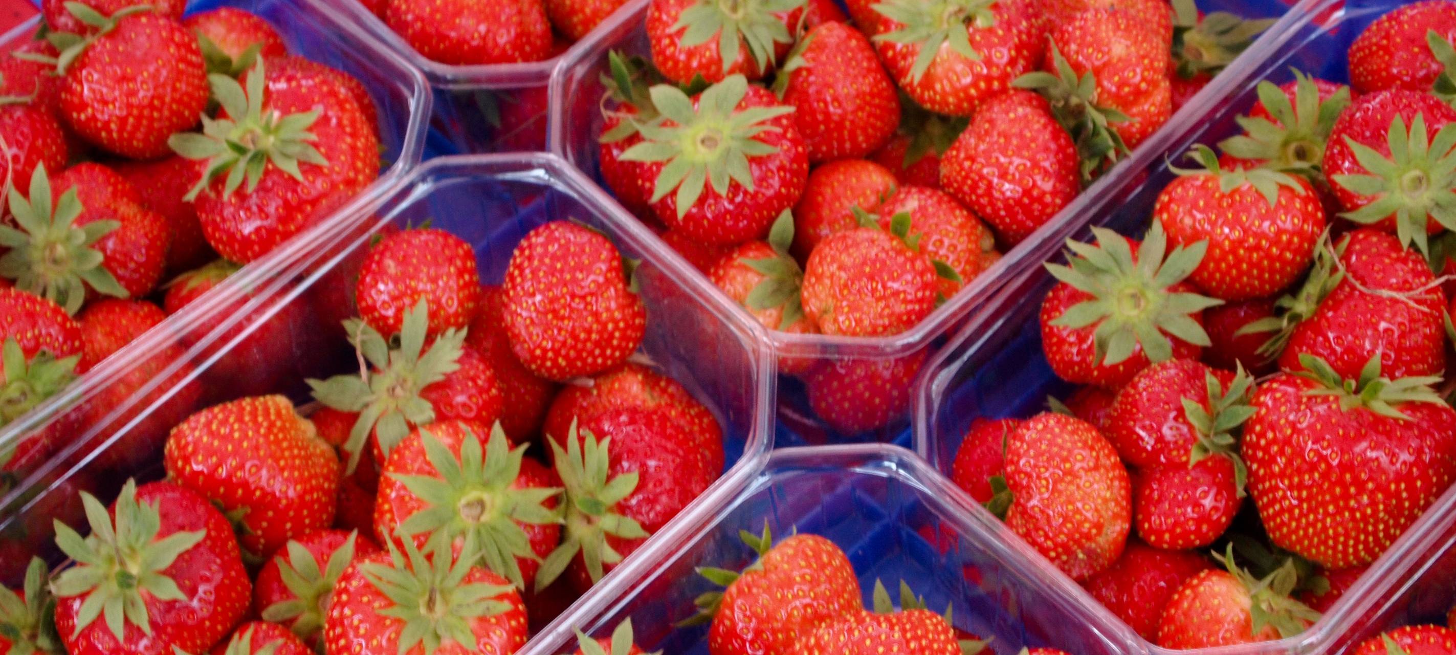 Erdbeersaison in Hamm gestartet