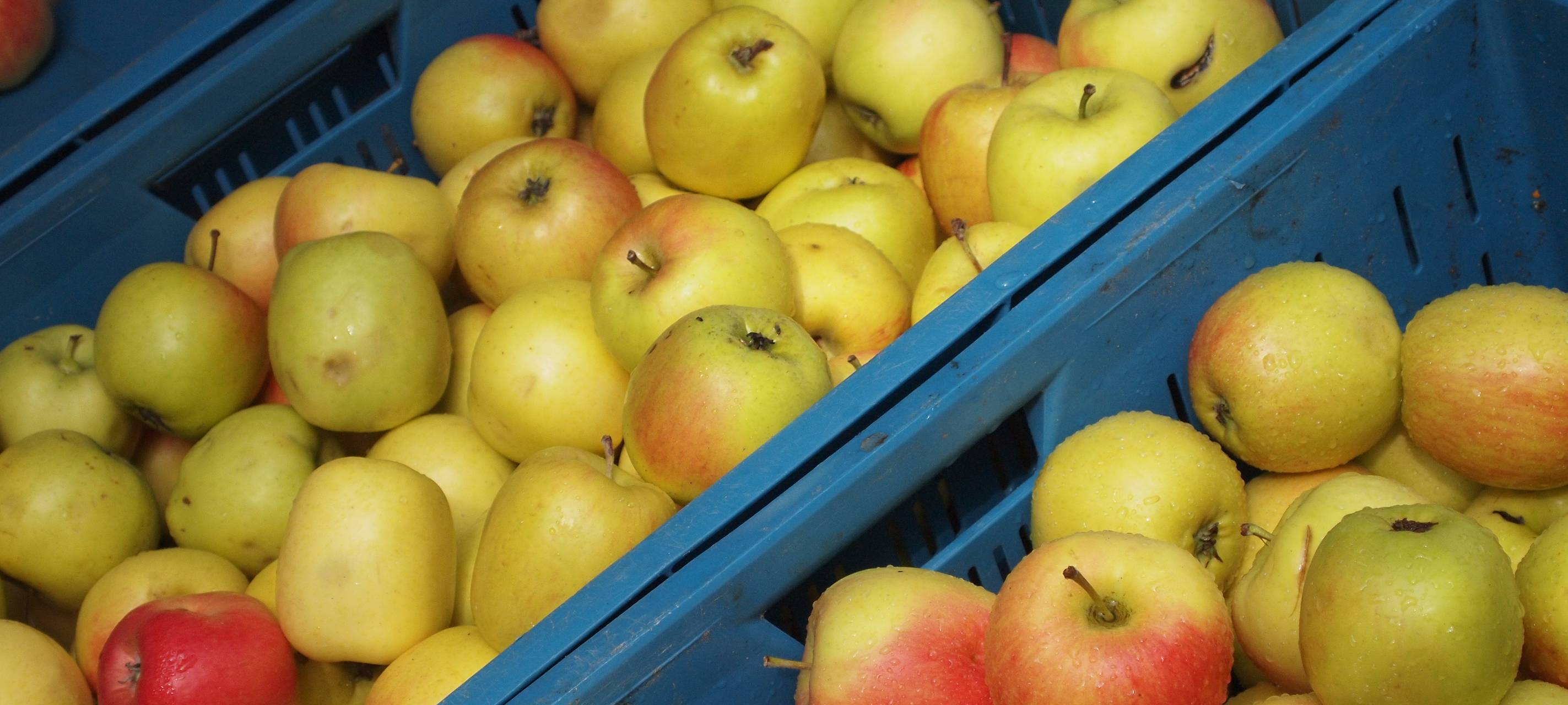 Herringer Wochenmarkt